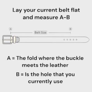 Belt Sizing