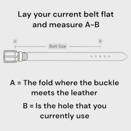 Belt Sizing